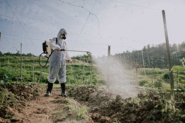 Best Mosquito Control Services  in Oxford, AL