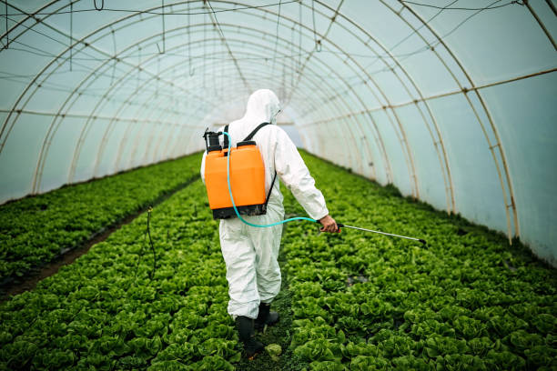 Best Best Pest Control Companies  in Oxford, AL