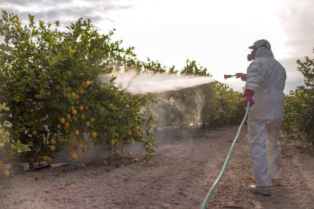 Best Pest Control Near Me  in Oxford, AL