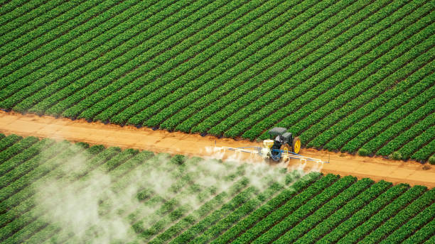 Best Best Pest Control Companies  in Oxford, AL