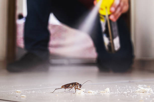 Pest Control for Restaurants in Oxford, AL