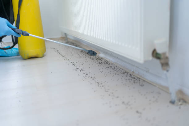 Best Affordable Pest Control Services  in Oxford, AL