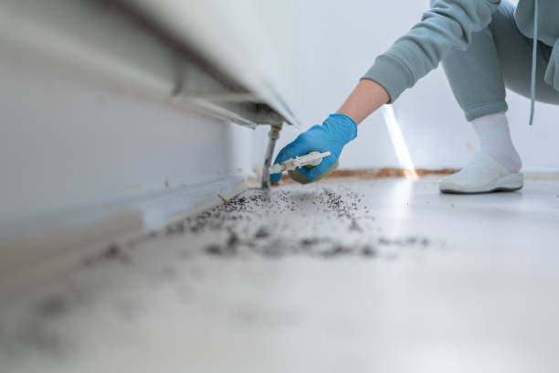 Best Insect Control  in Oxford, AL