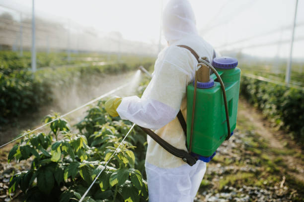 Reliable Oxford, AL Pest Control Solutions